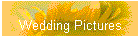 Wedding Pictures